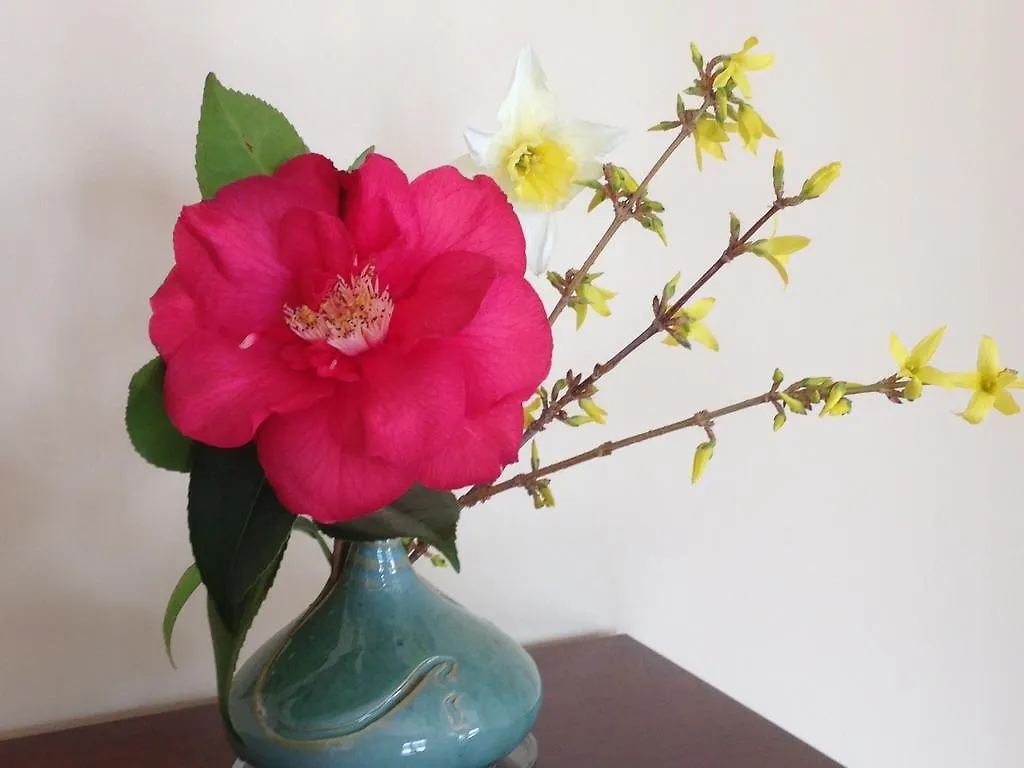 Le Relais Des Malettes Chambres D'Hotes B&B 弗朗舍维尔 住宿加早餐酒店