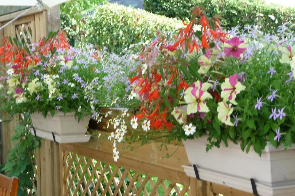 Le Relais Des Malettes Chambres D'Hotes B&B Francheville  Bed & Breakfast