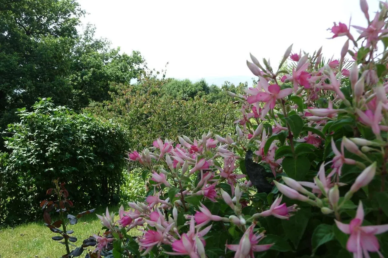 Le Relais Des Malettes Chambres D'Hotes B&B Francheville  Bed & Breakfast